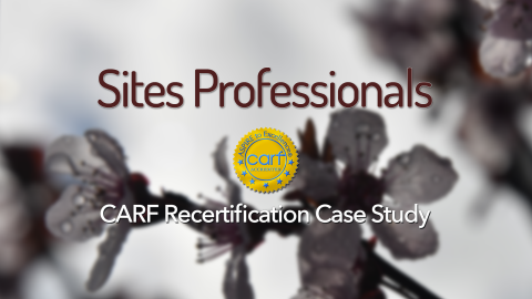 Review of CARF Recertification Requirements